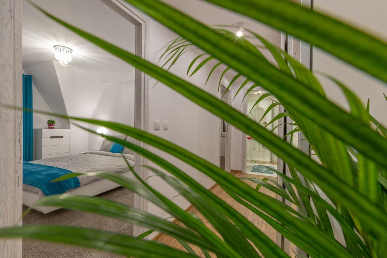 Apartament Podwika Закопане Екстер'єр фото